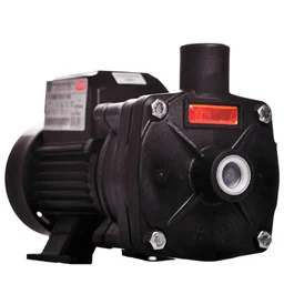 Motobomba Centrífuga Monoestágio B-12 IP-55 1/3 CV Monofásico Bivolt 127/220V THEBE EBARA-125.01.964014